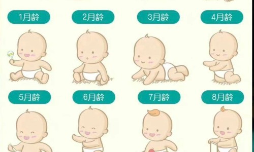 子宫内膜厚需要刮宫吗-子宫内膜厚不刮宫行可以用药网-分享子宫内膜厚刮宫对身体伤害大吗，子宫内膜厚刮宫需要住院吗知识库