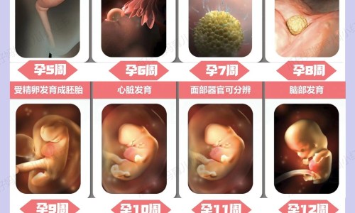 子宫内膜厚需要刮宫吗-子宫内膜厚不刮宫行可以用药网-分享子宫内膜厚刮宫对身体伤害大吗，子宫内膜厚刮宫需要住院吗知识库