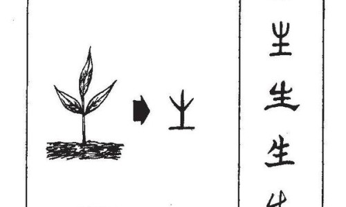 子宫内膜厚不刮宫行可以用药网-分享子宫内膜厚刮宫对身体伤害大吗，子宫内膜厚刮宫需要住院吗知识库
